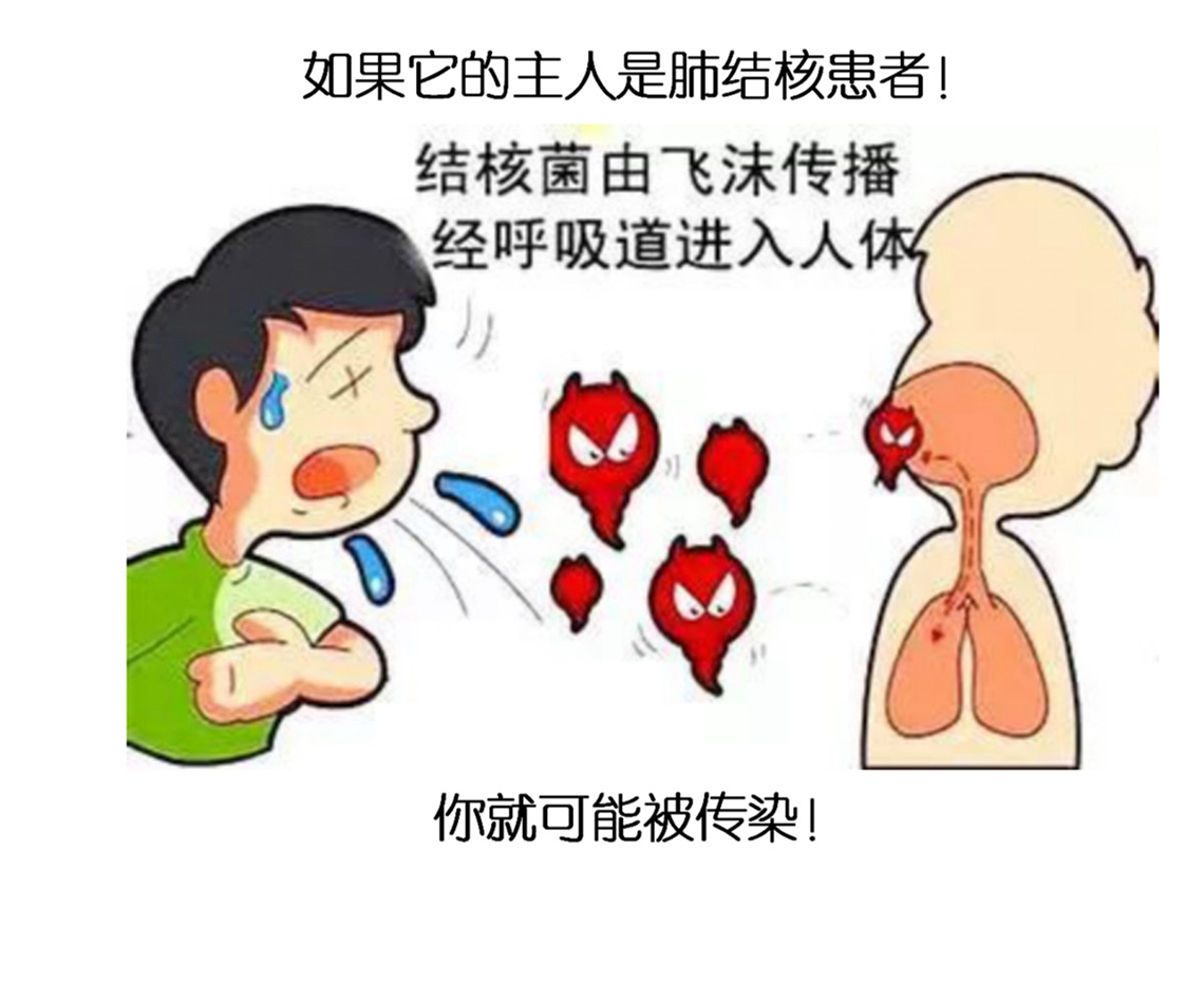 传播途径.jpg